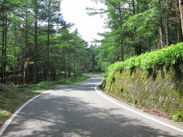 また日陰で助かる