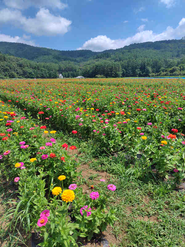 花の都公園(1)