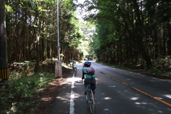 午後は内陸の県道71号へ