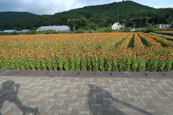 花の都公園