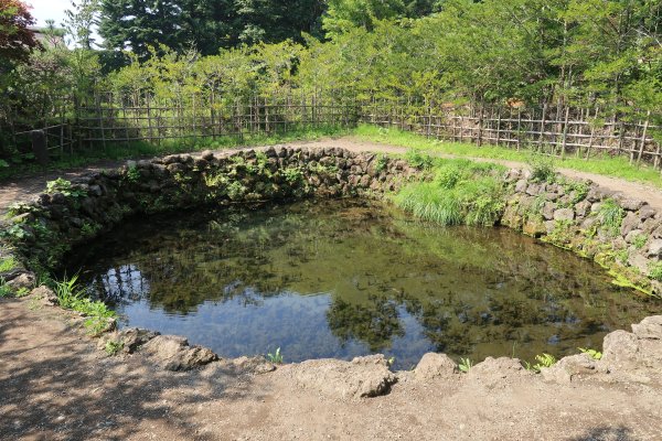 忍野八海(7)：銚子池