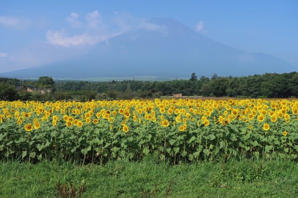 花の都公園(1)