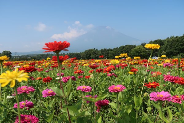 花の都公園(2)