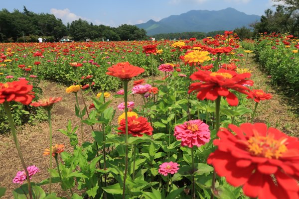 花の都公園(1)