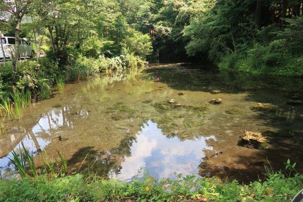 忍野八海(8)：出口池