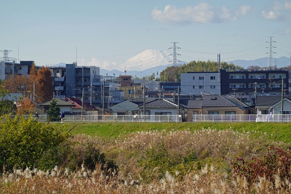 大倉山付近