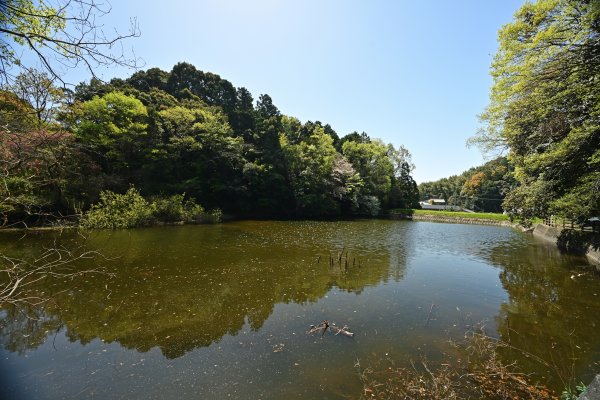 山の辺の道(2)