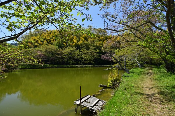 永久寺の池