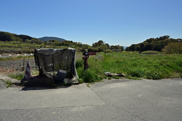 山の辺の道(18)