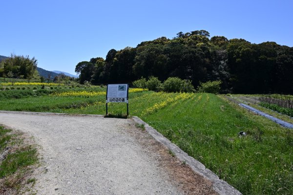 渋谷向山古墳