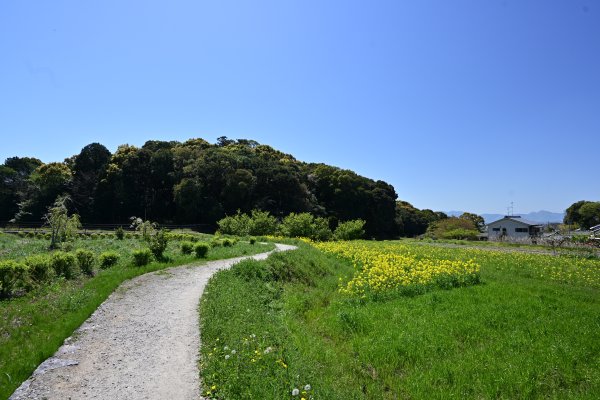 山の辺の道(20)