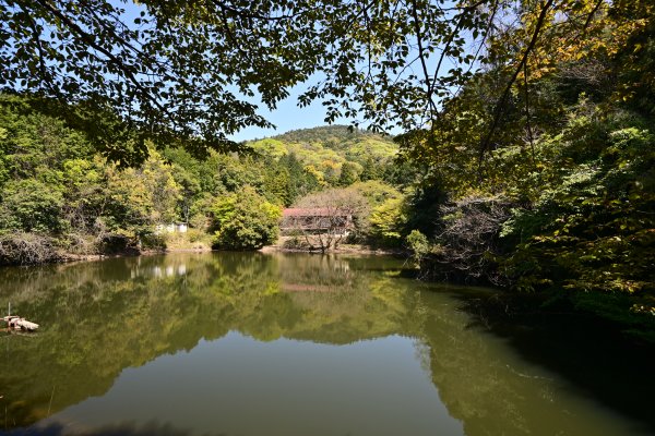 八大龍王弁財天大神