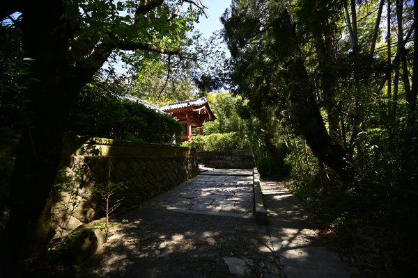 三輪山平等寺(1)