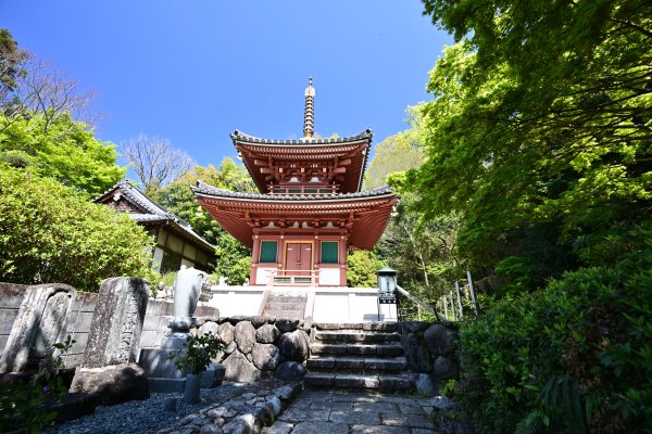 三輪山平等寺(4)：二重塔・釈迦堂