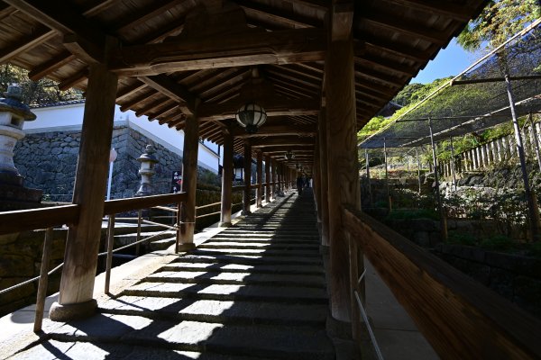 長谷寺(3)：下登廊