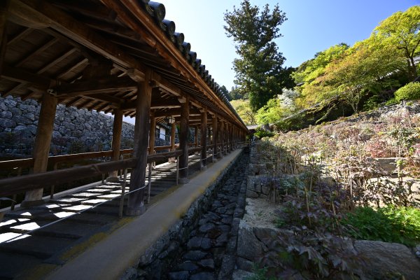 長谷寺(4)：中廊下