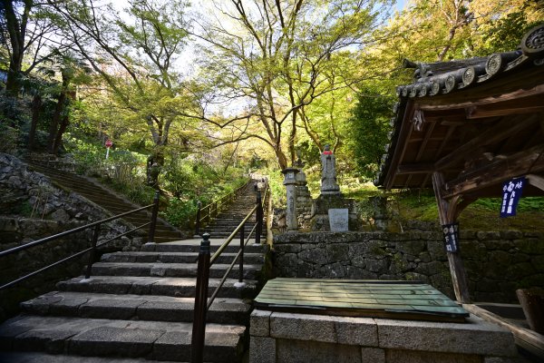 長谷寺(5)：廊下の繋がり