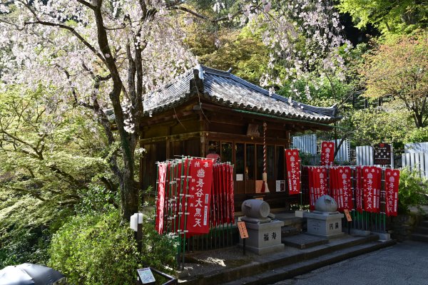 長谷寺(8)：大黒堂