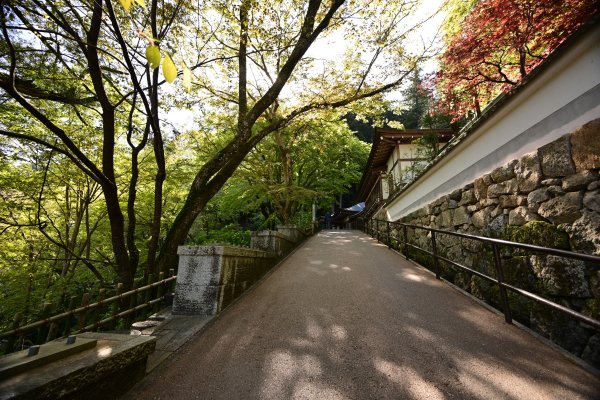 長谷寺(12)：境内