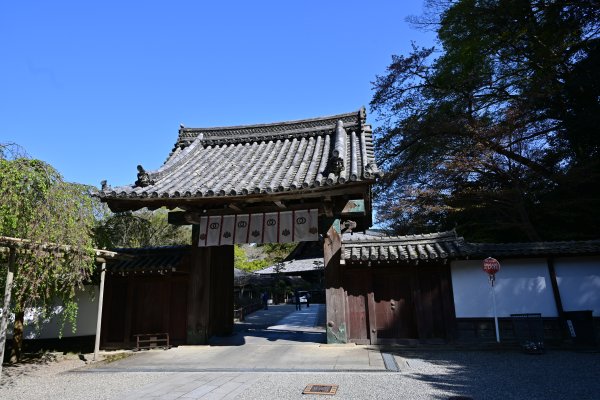 長谷寺(16)：朱雀門