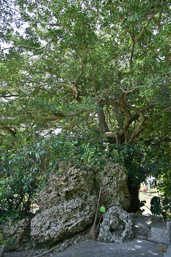 保食神社(4)