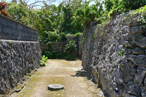 阿伝集落(6)：サンゴの石垣