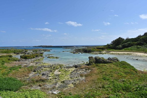 こーえんはな公園(2)