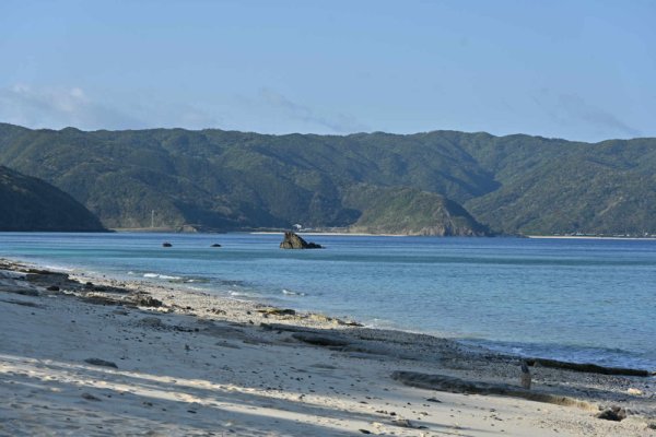 大浜海浜公園(3)