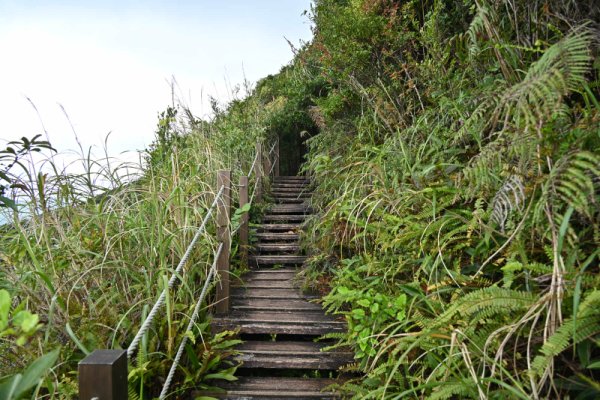 湯湾岳登山(1)