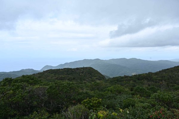 湯湾岳登山(5)