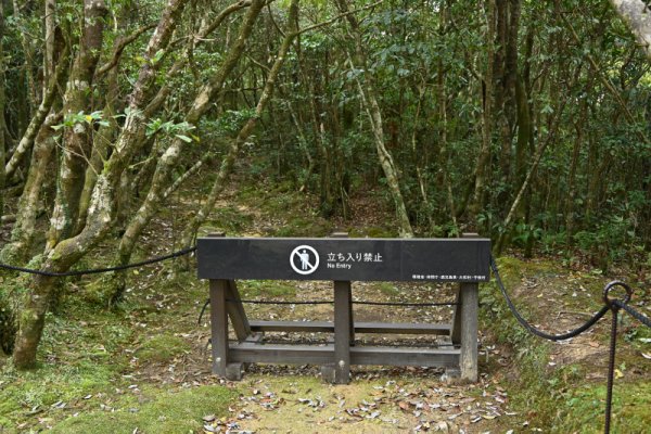 湯湾岳登山(7)