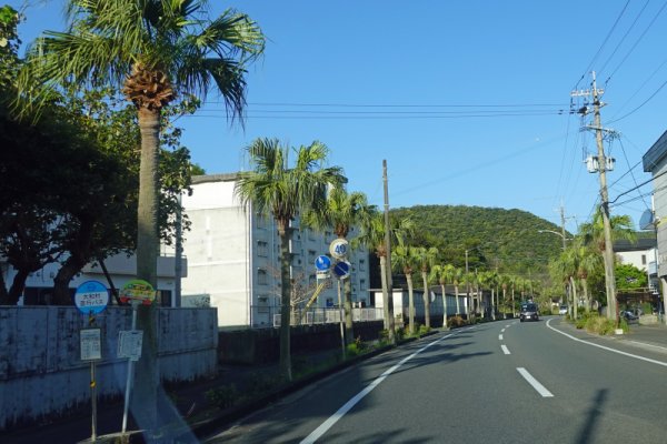 県道79号線(2)：南国らしい道路