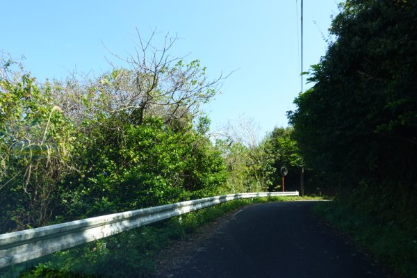 県道79号線から湯湾岳へ