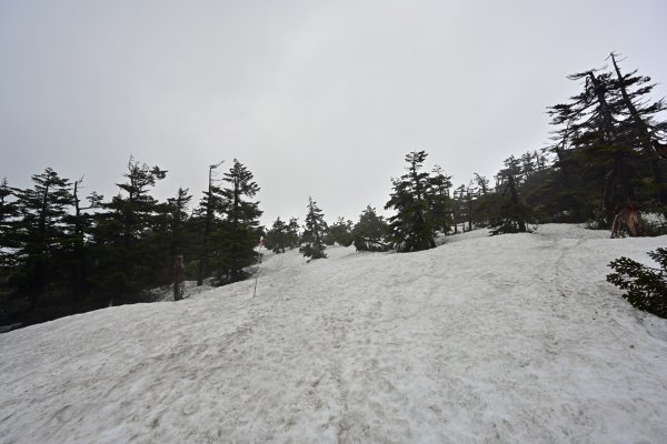 八幡平(5)