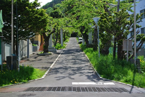 住三吉神社の参道