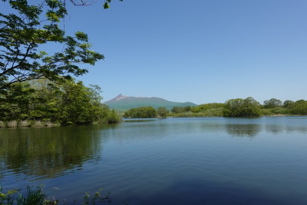 大沼公園散策路：大島の道