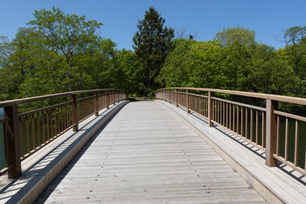 大沼公園散策路：東大島橋