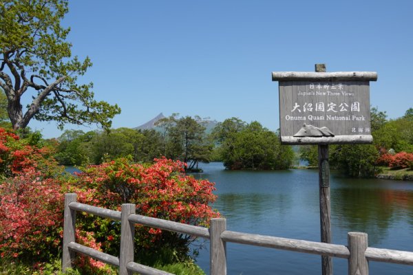 大沼公園：公園広場