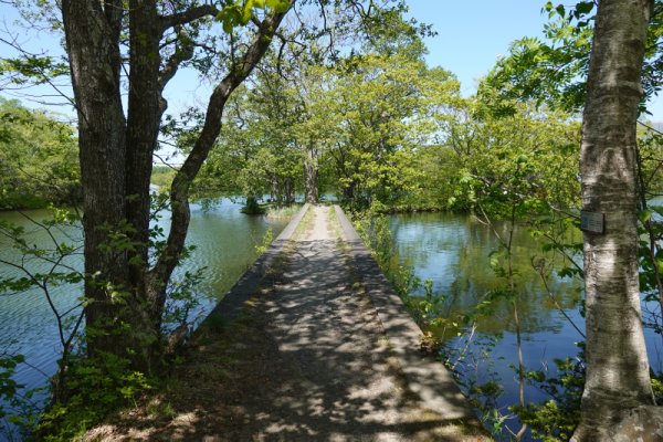 大沼公園散策路：長島園路護岸