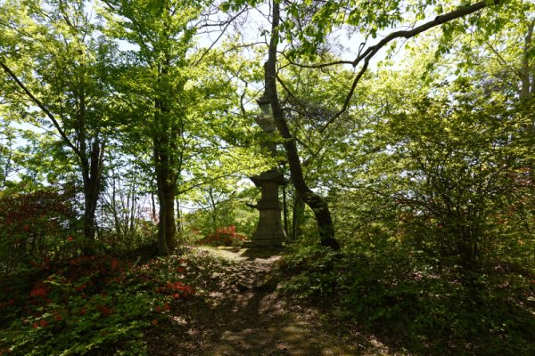 大沼公園散策路：五重塔