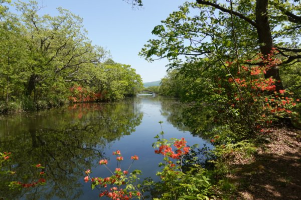 大沼公園散策路：入江