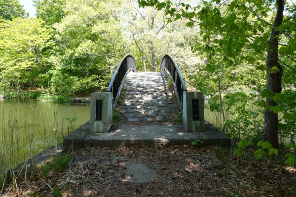 大沼公園散策路：八つ橋