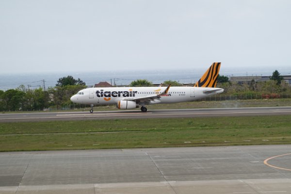 函館空港：tigerair