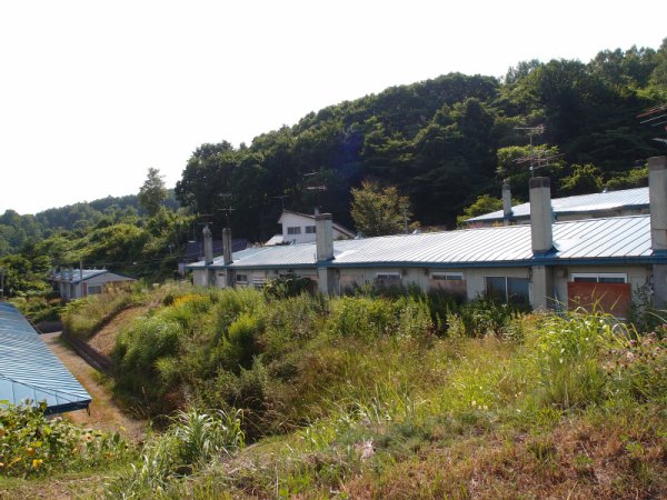 オタモイ岬(2)