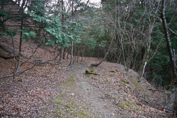 道坂トンネルの上(1)