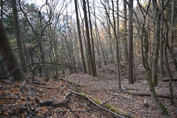 登山口～今倉山(3)