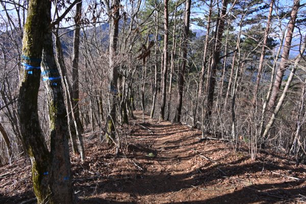 登山口～今倉山(10)