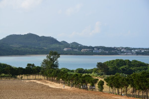 川平湾(3)：県道から