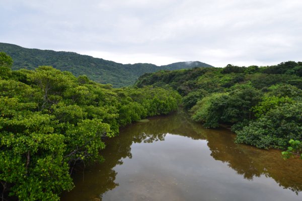 嘉良川の河口