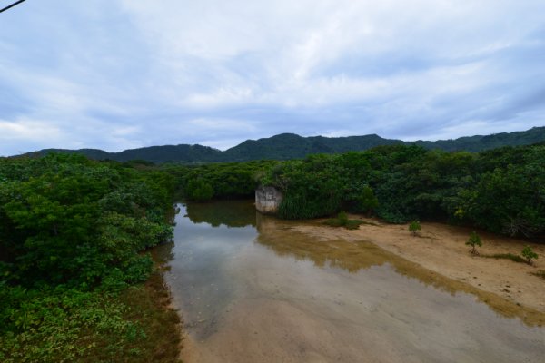 平久保川河口(2)